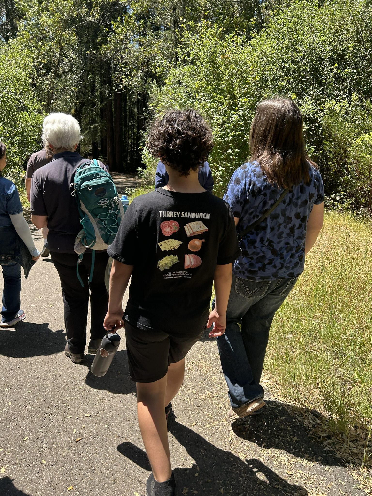 Group hiking the trails at Jack London park