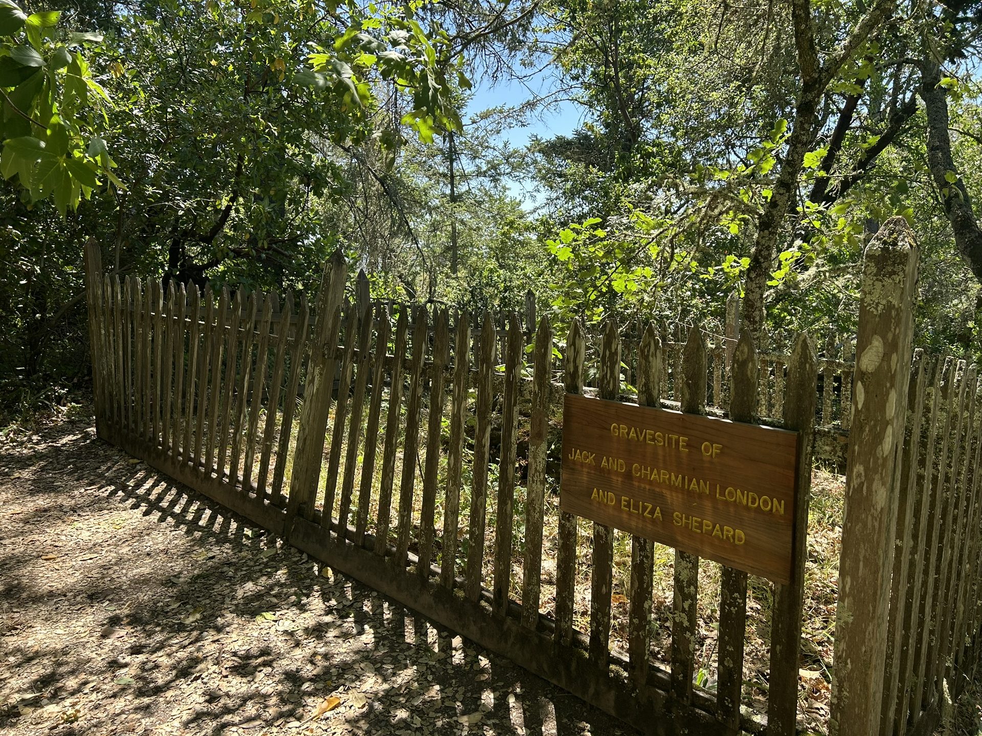 The grave fence and surrounding vegetation