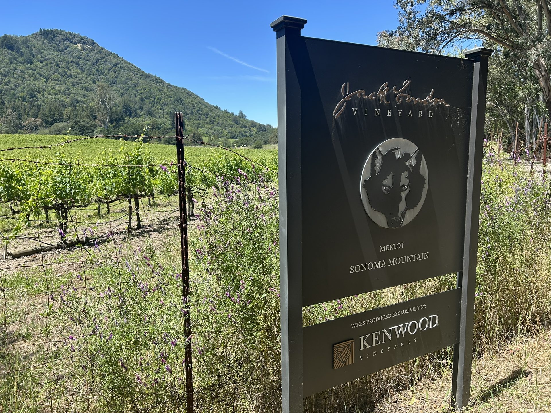 Jack London Vineyard official sign with wolf logo and Kenwood Vineyards branding